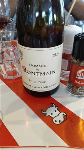 Borgonha Não especificado Domaine Montmain Pinot Noir 2023