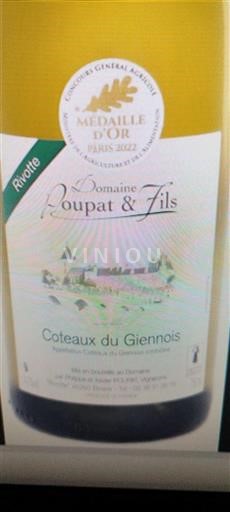 Valle della Loira Coteaux-du-giennois Domaine Poupat & Fils Révolte 2022