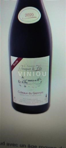 Valle della Loira Coteaux-du-giennois Dauphin et Fils 2020