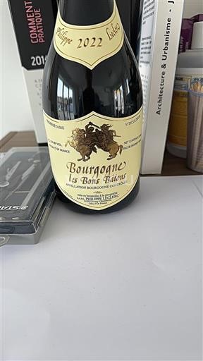 Bourgogne Philippe Leclerc Les Bons Bâtons 2022