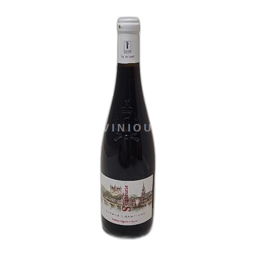 Loirevallei Saumur-champigny Vielles Vignes à Pierrot 2020