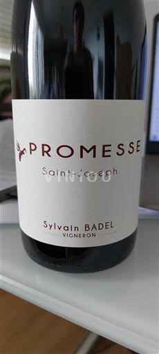 Valle del Rodano Saint-Joseph Sylvain Badel Promesse 2023