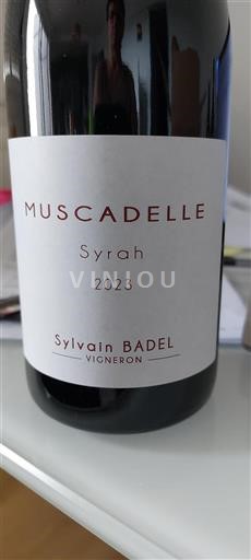 Valle del Rodano Non specificato Sylvain Badel Muscadelle Syrah 2023