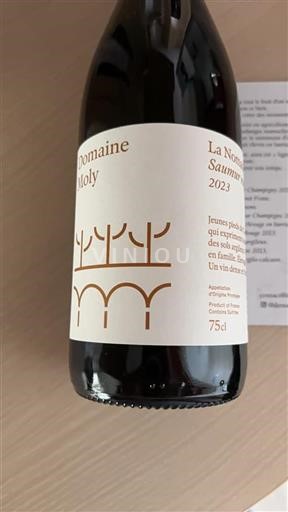 Vallée de la Loire Saumur Domaine Moly La Nomade 2023