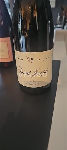 Valle del Ródano Saint-Joseph Famille Cecillon Babylone 2021