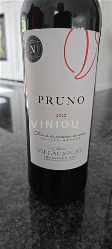 Castilië en León Ribera del Duero Finca Villacreces Pruno 2022