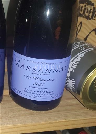 Borgogna Marsannay Sylvain Pataille Le Chapitre 2023