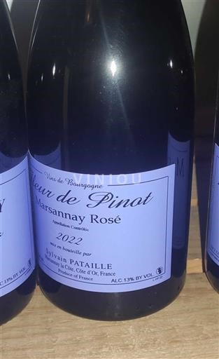 Burgundy Marsannay Sylvain Pataille Fleur de Pinot 2022