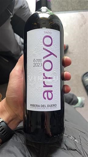 Vin Rouge sec Arroyo 2023 Espagne Castille et León Ribera del Duero