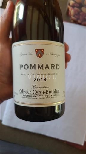 Borgogna Pommard Olivier Cyrot-Buthiau 2019