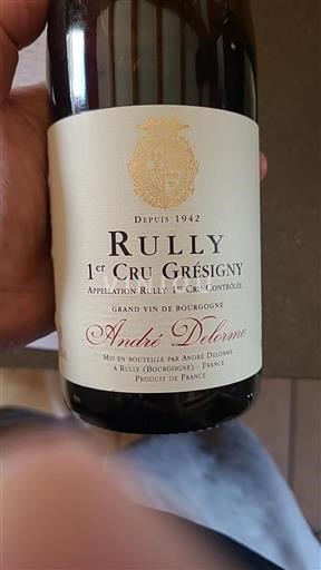 Borgoña No especificado Premier Cru André Delorme Grésigny 2020