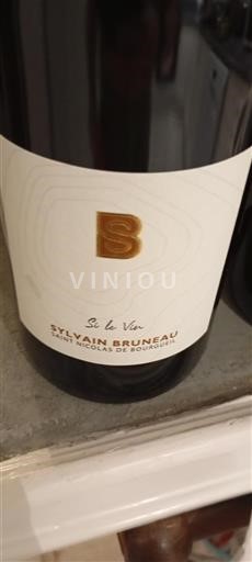 Loire-dalen Saint-Nicolas-De-Bourgueil Sylvain Bruneau Si le Vin 2023
