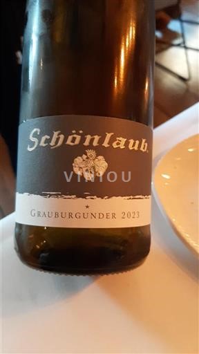 Pfalz Määrittelemätön Schönlaub Grauburgunder 2023