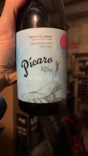 Castela e Leão Ribera del Duero Dominio del Águila Pícaro del Águila 2016