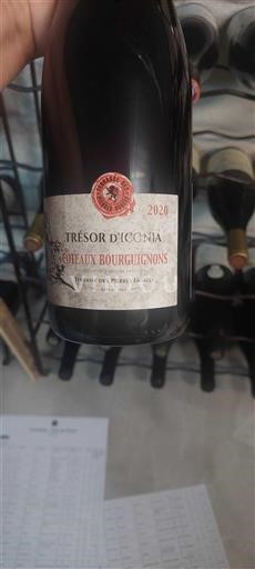 Borgogna Coteaux borgognoni Terrasse des Pierres Dorées Trésor d'Iconia 2020