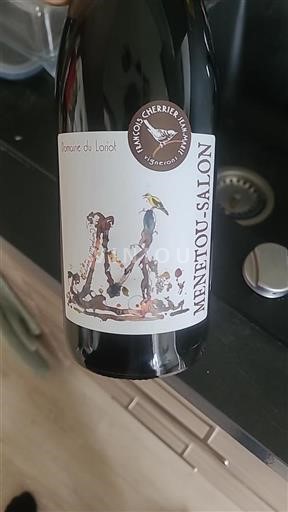 Valle della Loira Menetou-Salon Domaine Loriot Senza annata