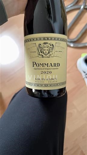 Bourgogne Pommard Grand Cru Louis Jadot 2020