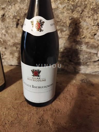 Burgundy Coteaux Bourguignons Signé Bourgogne 2018