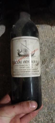 Bordeaux Saint-Julien Grand Cru Château Beychevelle 1993