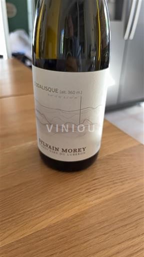 Valle del Rodano Luberon Sylvain Morey L'Odalisque 2022