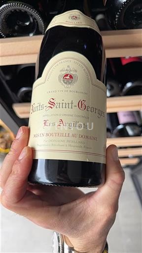 Borgogna Nuits-Saint-Georges Domaine Moillard Les Argillats 2012