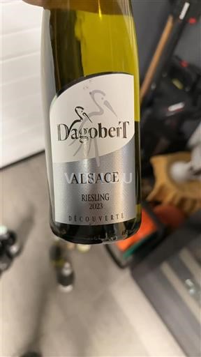 Alsazia Dagobert Découverte 2023