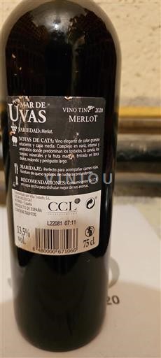 Castile and León Unspecified Uvas Mar de 2020