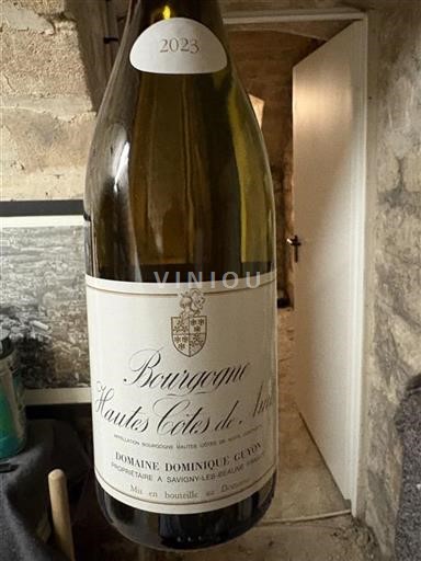 Bourgogne Ikke specificeret Domaine Dominique Guyon 2023