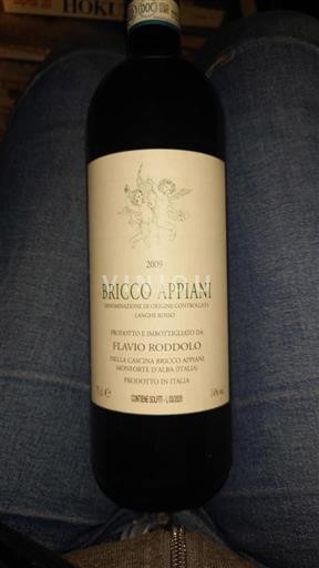 Piedmont Wines Langhe Bricco Appiani 2009