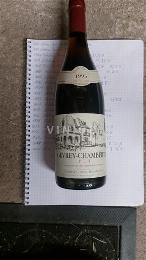 Borgogna Gevrey-Chambertin Premier Cru Domaine G. Roblot-Marchand 1995