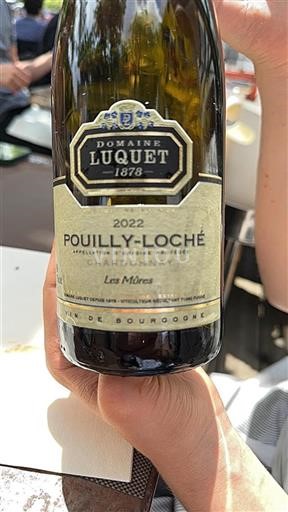 Borgogna Pouilly-loché Domaine Luquet Les Mûres 2022
