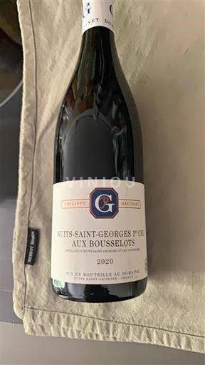Borgogna Nuits-Saint-Georges Premier Cru Philippe Gavignet Aux Bousselots 2020