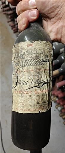 Vin Rouge sec Château Jonqueyres 1981 France Bordeaux Bordeaux supérieur