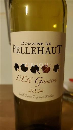 Sudoeste Côtes de Gascogne Domaine Pellehaut L'Été Gascon 2024