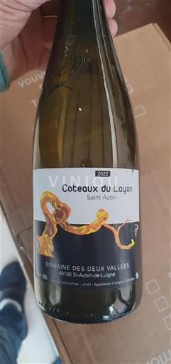 Valle del Loira No especificado Domaine Des Deux Vallées Coteaux du Layon 2022
