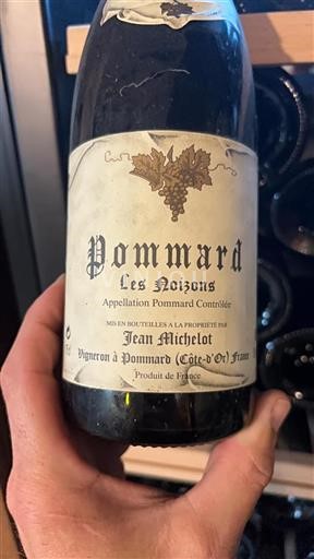 Bourgondië Pommard Jean Michelot Les Noizons Niet-geïntegreerd