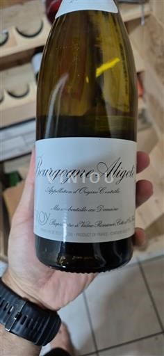 Bourgondië Bourgogne Aligoté Leroy Bourgogne Aligoté Niet-geïntegreerd