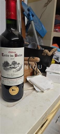 Bordeaux Blaye-Côtes-de-Bordeaux Château Terre du Boilon 2020