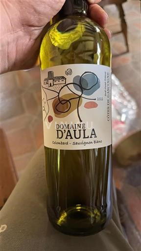 Sud-Ouest Côtes de Gascogne Domaine Aula 2022
