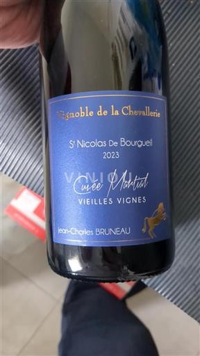 Vallée de la Loire Saint-Nicolas-De-Bourgueil Vignoble de la Chevallerie Martial Vieilles Vignes 2023