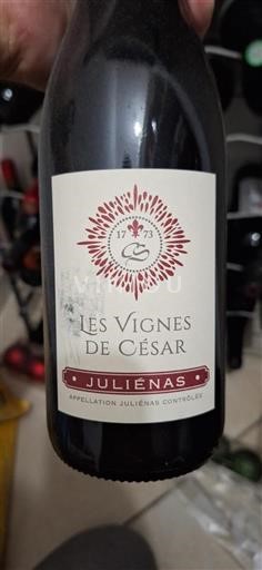 Beaujolais Juliénas Les Vignes de César 2017