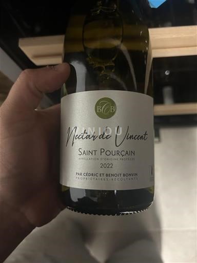 Valle del Loira Saint-Pourçain Cédric et Benoît Bonvin Nectar de Vincent 2022