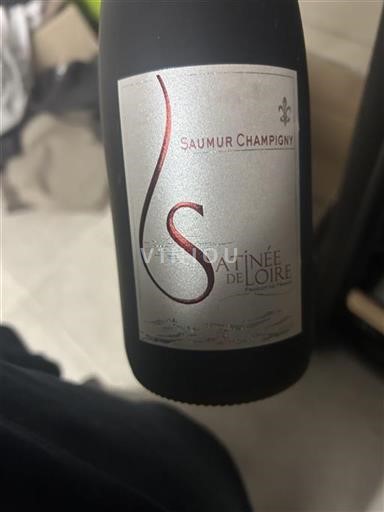 Loire Valley Saumur-Champigny Satinée de Loire Non-Vintage