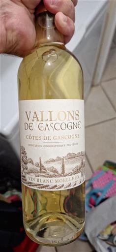 Sudoeste Côtes de Gascogne Vallons de Gascogne 2023