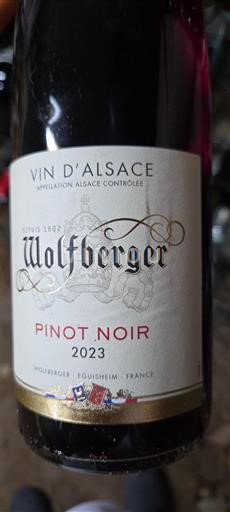 Alzacija Wolfberger 2023