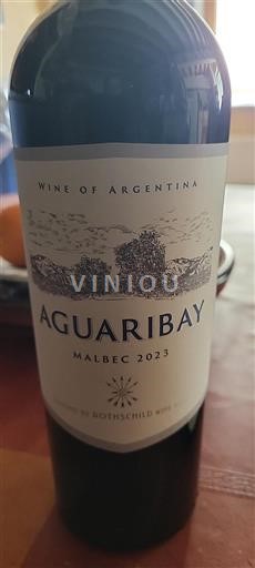 Vin Rouge sec Aguaribay Domaine S de Rothschild 2023 Argentine Mendoza