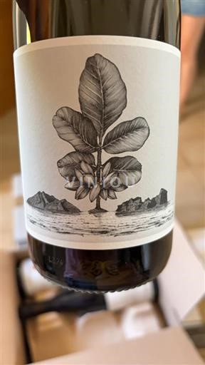 Provence Provença Domaine L’Or Vert Aigine 2023