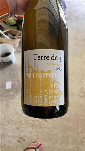 Valle del Loira Anjou Terre de 3 2023