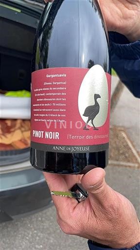Languedoc Limoux Anne de Joyeuse Gargantuavis 2022