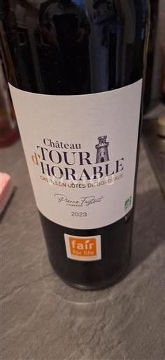Bordeaux Castillon Côtes de Bordeaux Château Tour Horable 2023